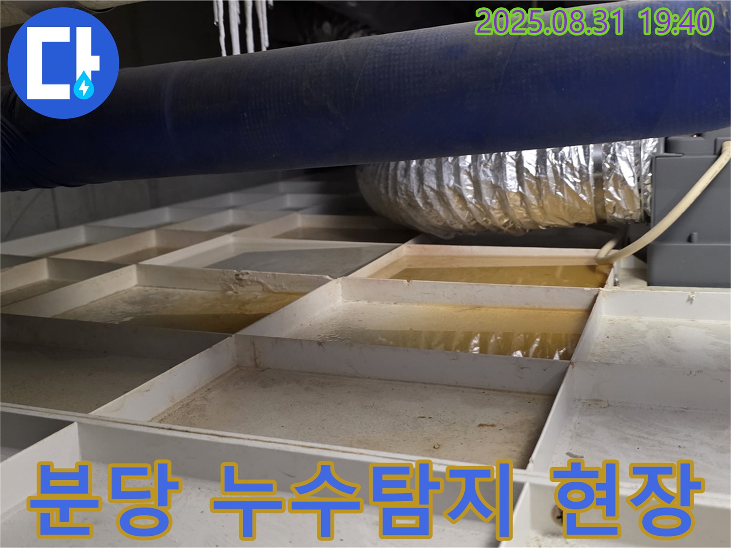 분당구 산운마을에서 발생한 누수탐지 현장 - 건물 내부 누수 원인을 정확히 파악하고 해결하는 과정