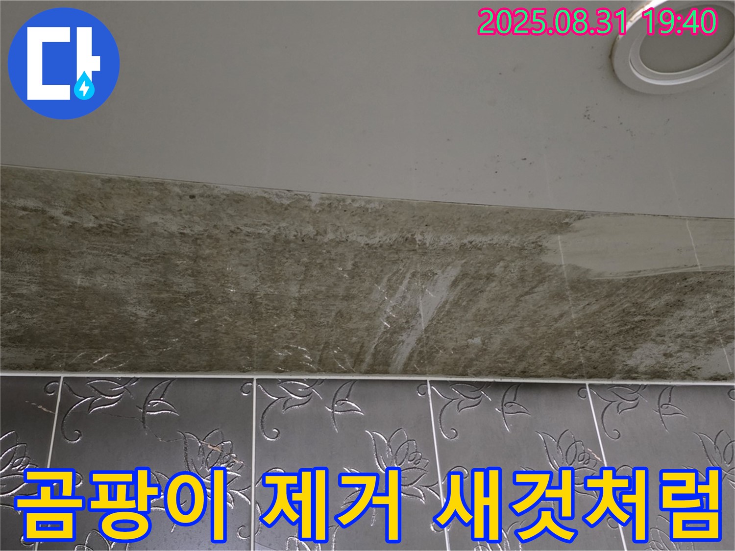 분당구 정자동 곰팡이 핀 욕실 천장 누수 - 완벽한 복구 공사로 새것처럼 깔끔하게 해결!