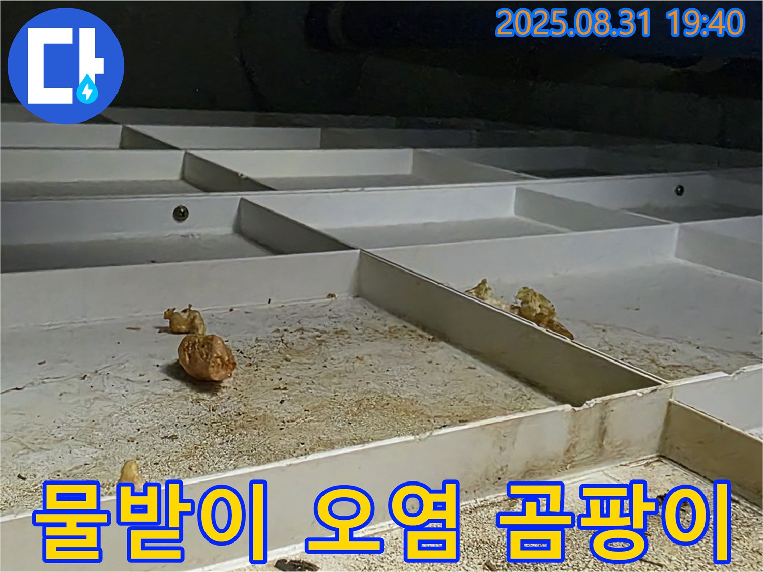 분당구 정자동 누수 - SMC 천장 물받이 오염, 누수 흔적과 곰팡이 발견