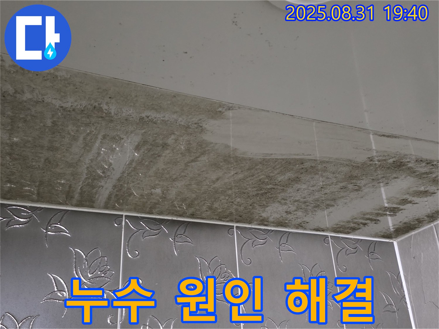 산운동 욕실 천장 곰팡이 - 누수 원인 해결 과정 공개