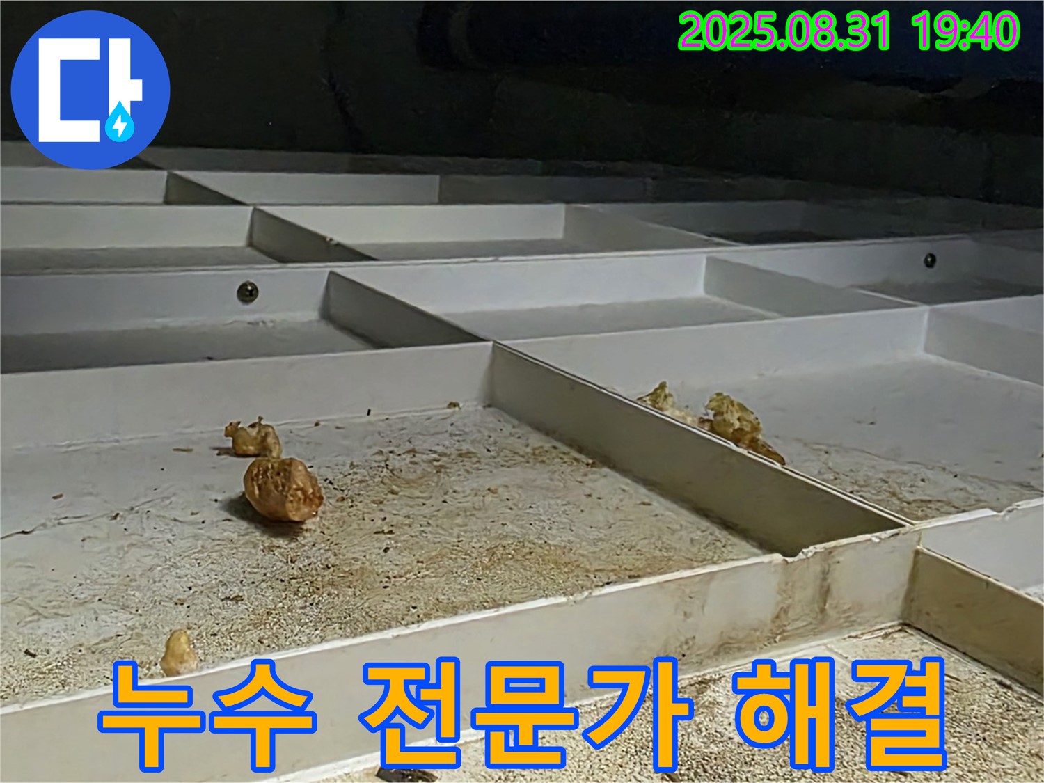 산운마을 누수 - 분당 누수 전문가의 확실한 해결 과정