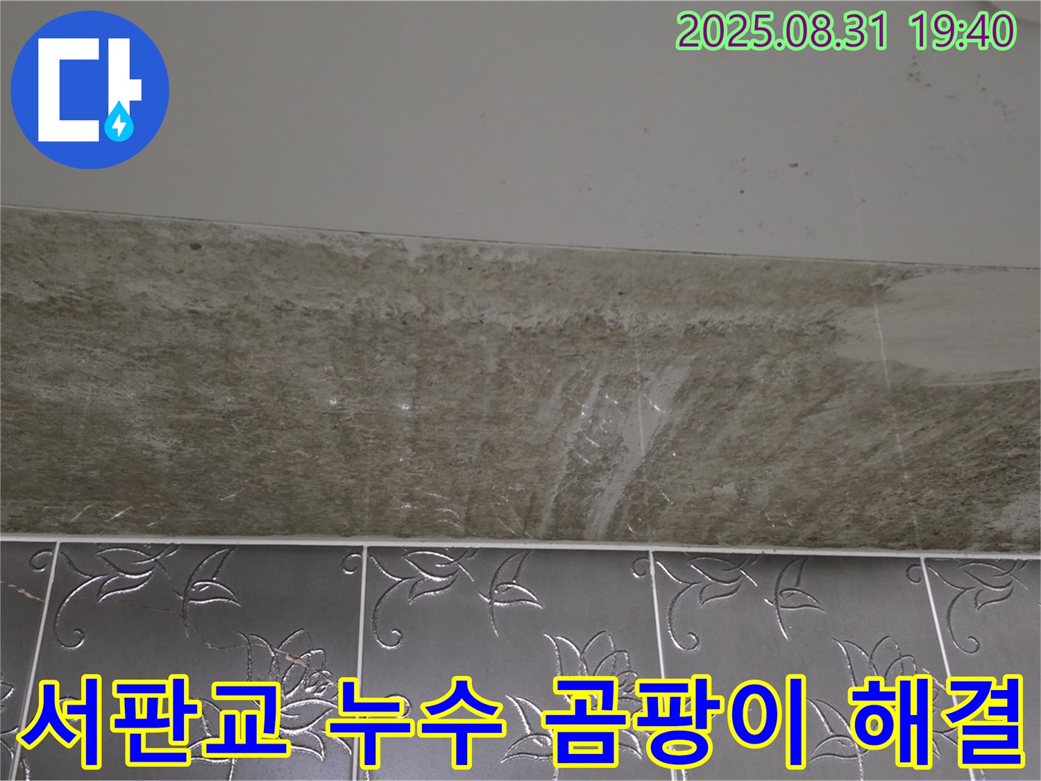 서판교 누수 - 욕실 천장 곰팡이 해결 과정을 담은 사진입니다