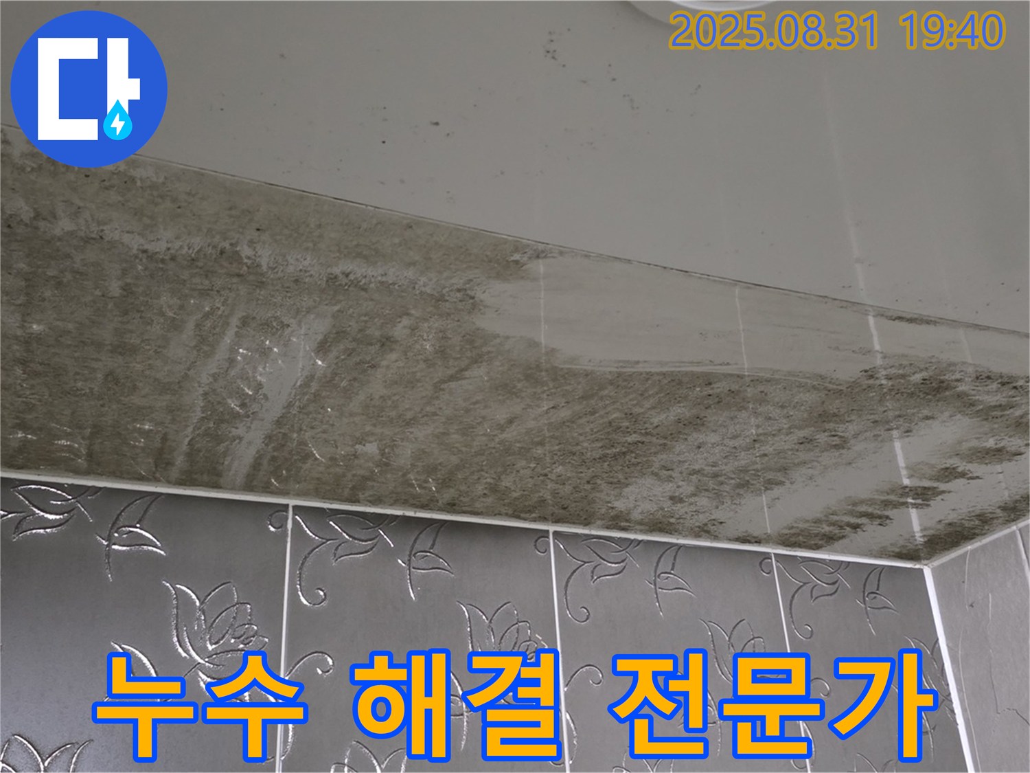 석운동 욕실 누수 - 천장 곰팡이 해결 전문가