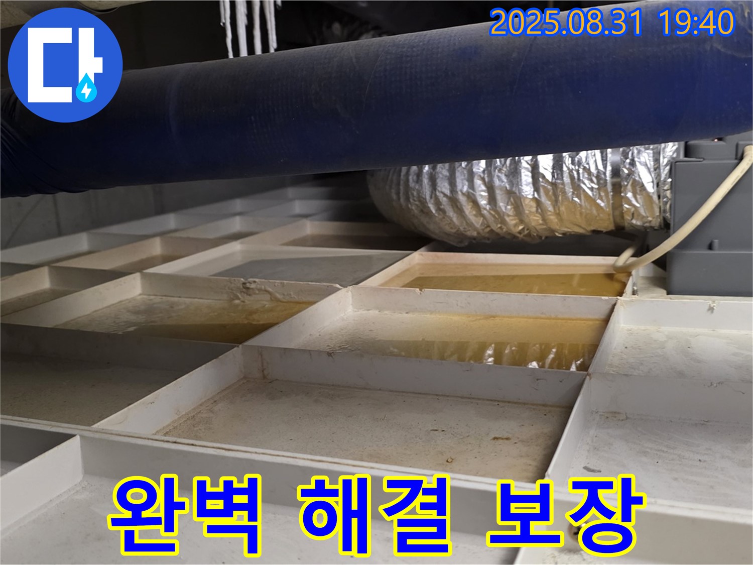 성남 분당 정자동 건물 지하 누수 - 누수 관련 모든 문제, 완벽 해결 보장