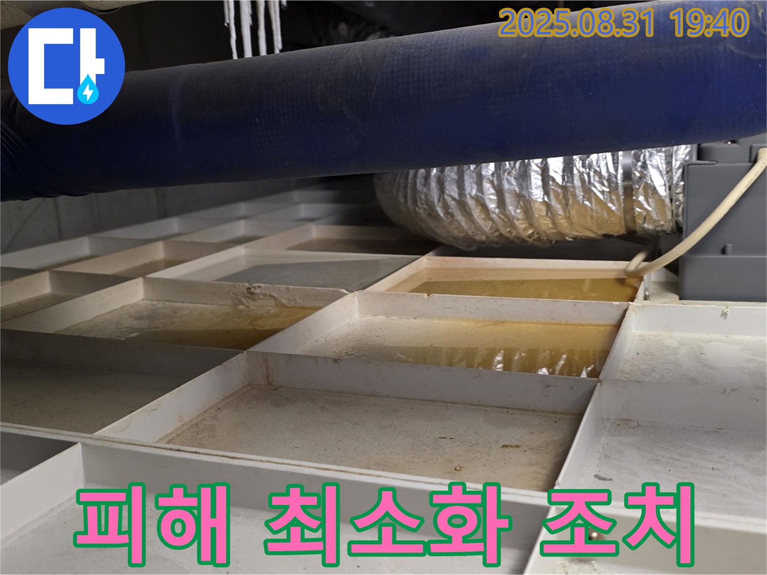 성남 분당 정자동 건물 지하 누수 - 누수 피해 최소화를 위한 빠른 조치