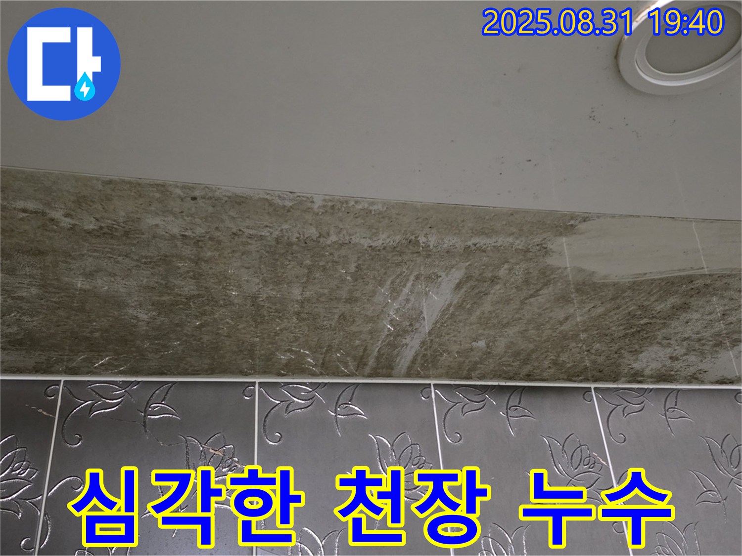성남시 분당구 구미동 욕실 천장 누수 - 심각한 곰팡이 누수, 긴급 해결!