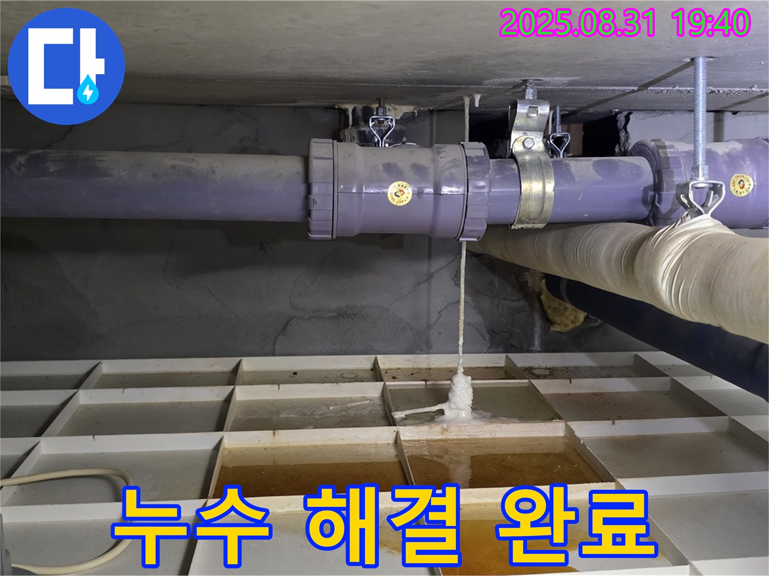 성남시 분당구 산운로 누수 - 누수 문제 완벽 해결!