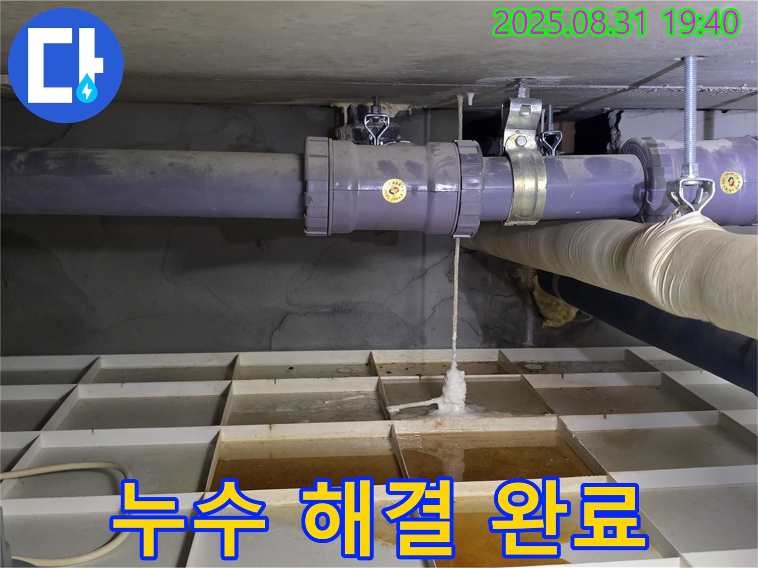 성남시 분당구 산운로 누수 - 누수 문제 완벽 해결!