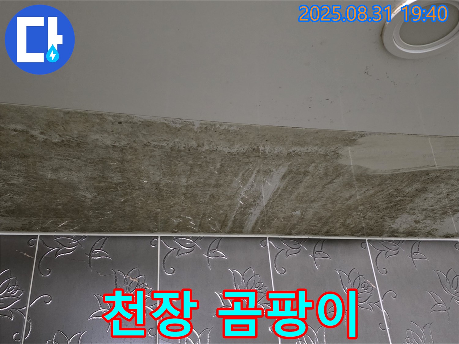 성남시 분당구 운중동 욕실 천장 누수 - 곰팡이 꽃이 핀 누수, 긴급 해결했습니다.