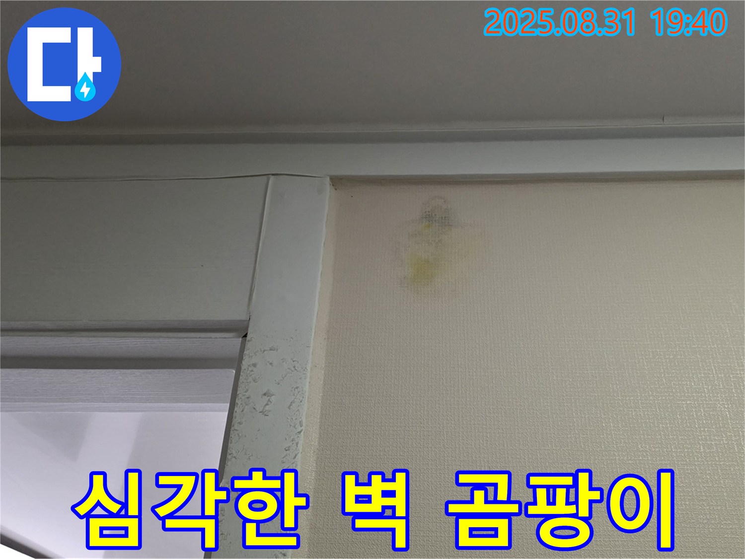 심각한 벽 곰팡이 - 분당구 산운로 누수탐지 - 곰팡이 제거