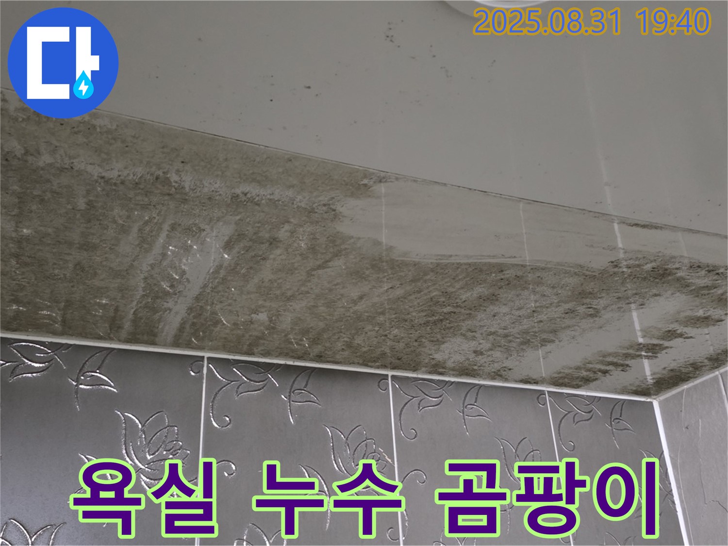 욕실 천장 누수 - 곰팡이 심각, 빠른 해결 필요