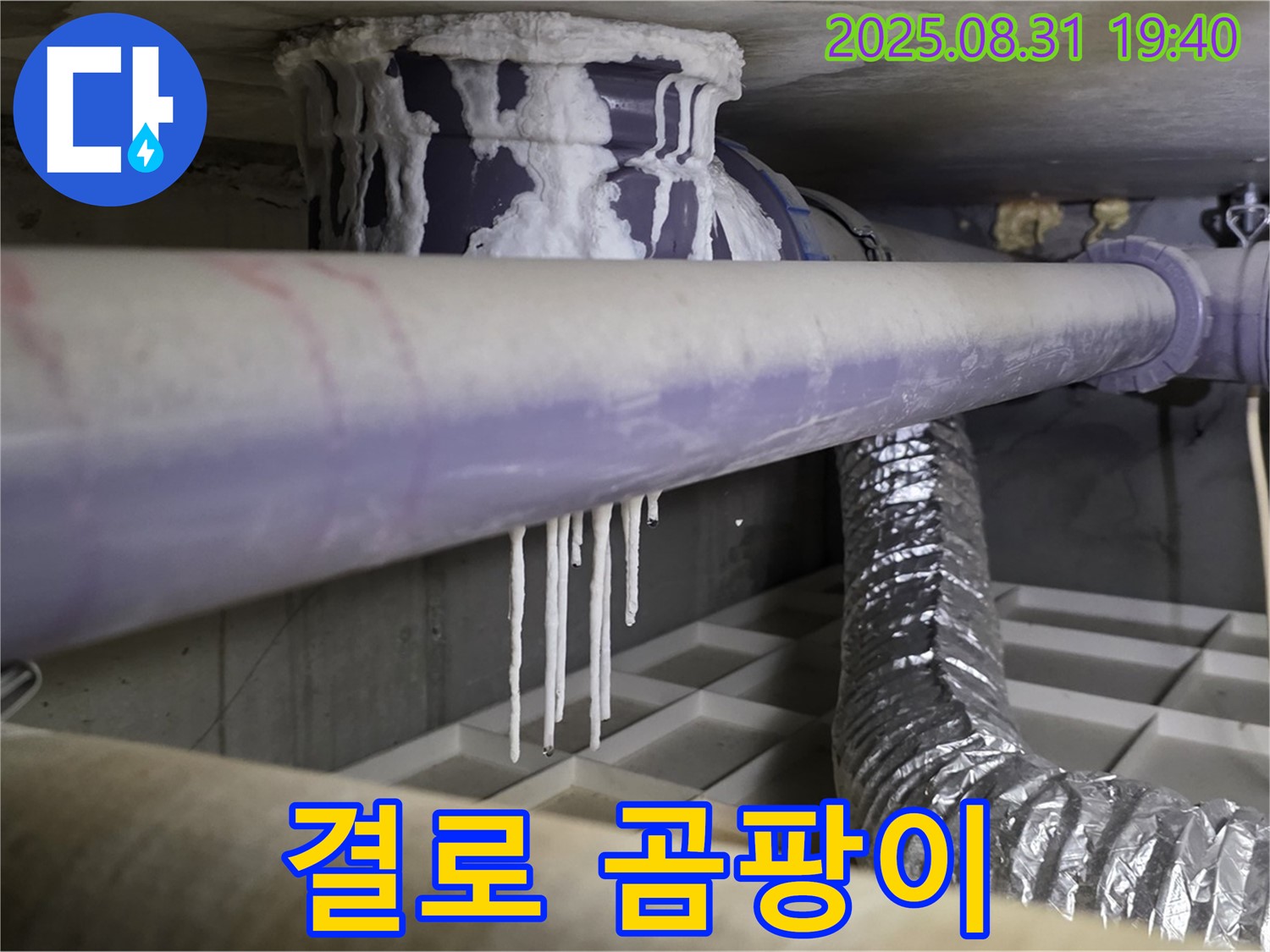 정자동 누수 - 배관 결로로 인한 곰팡이 번식 - 건강한 실내 환경을 위한 누수 해결
