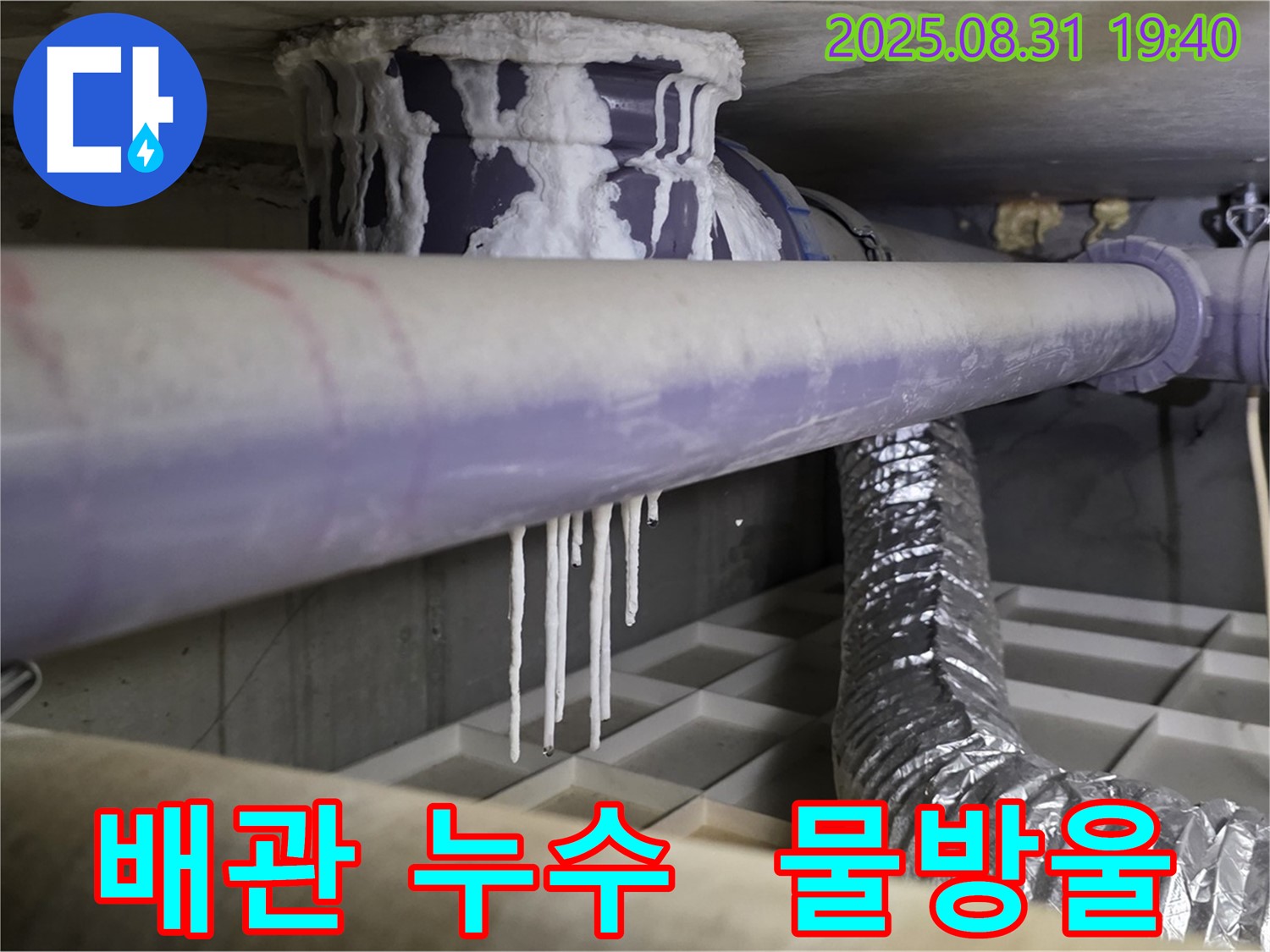 정자동 산운로 아파트 배관 누수 - 배관에 맺힌 물방울 - 누수 해결 전문가의 정확한 진단