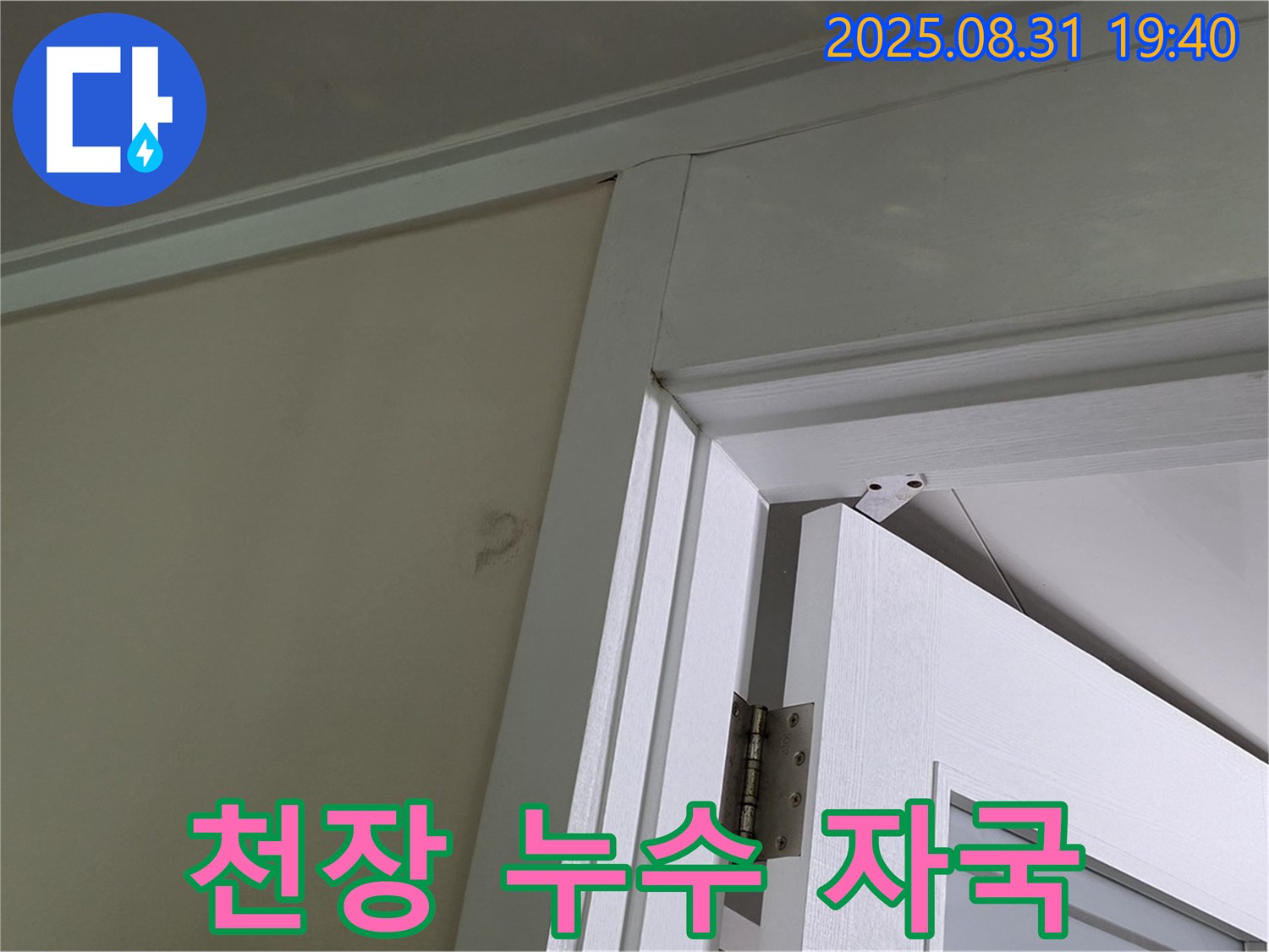 천장 누수 자국 - 천장에 생긴 누수 자국이 선명하게 보입니다.