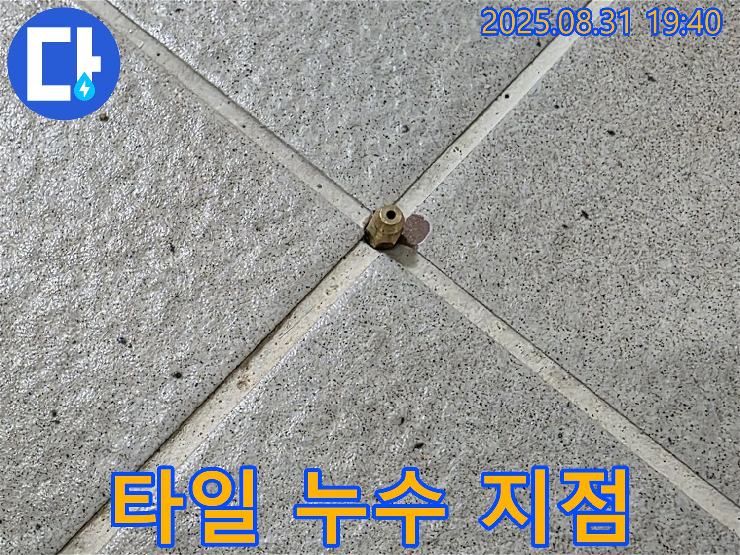 타일 사이 누수 의심 지점 - 누수 탐지 전문가의 꼼꼼한 점검