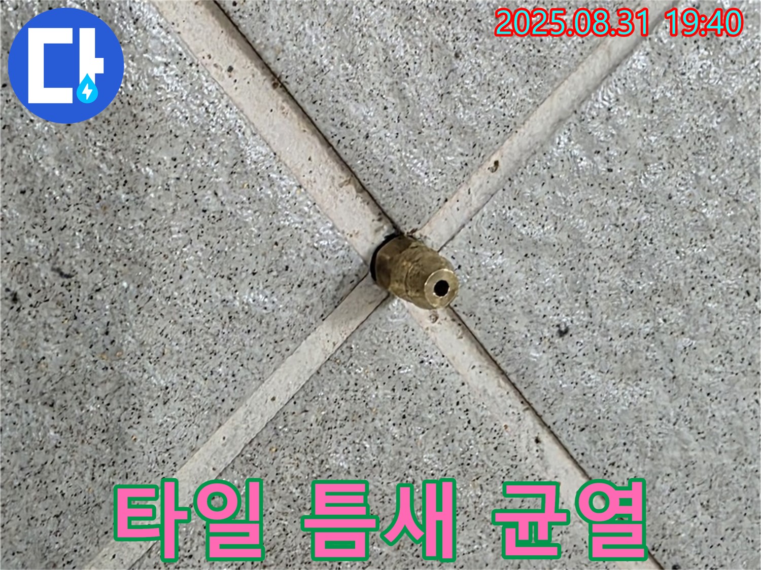 타일 틈새 작은 균열 - 작은 틈도 놓치지 않고 꼼꼼하게 점검합니다.