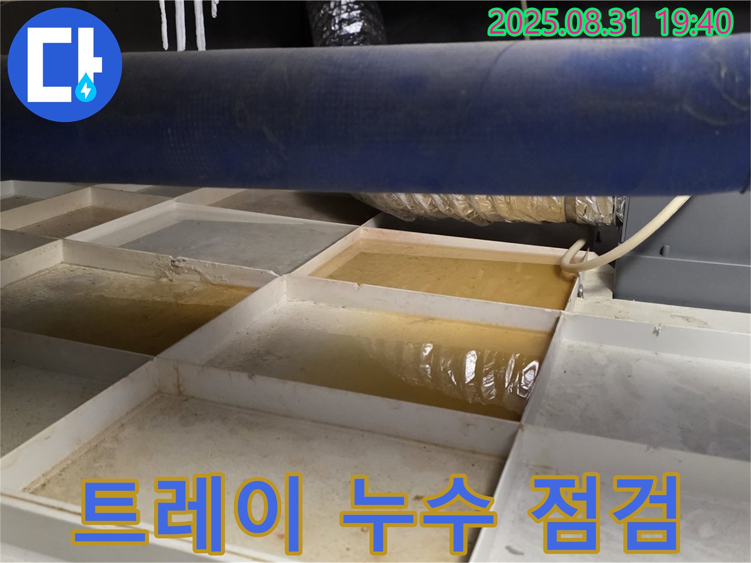 트레이 누수 점검 - 천장에 설치된 트레이에 고인 물을 확인하고 누수 원인을 파악하고 있습니다.
