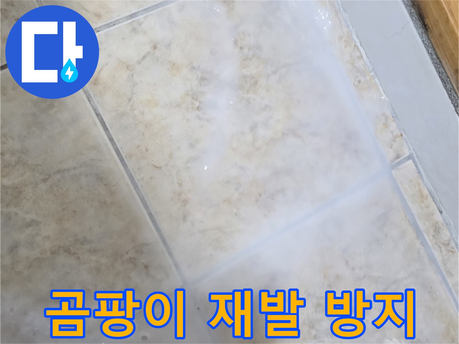 곰팡이 재발 방지 - 완벽 시공으로 - 안심하세요!
