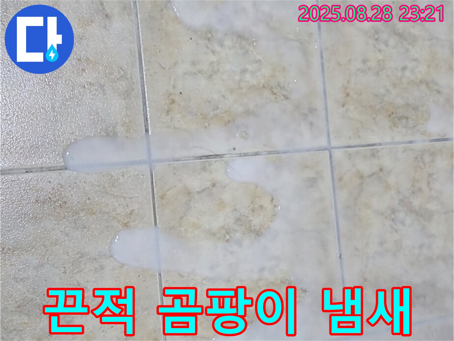 끈적거리고 곰팡이 냄새 심한 백시멘트 - 묵동 주택 욕실에서 물이 닿으면 끈적거리고 곰팡이 냄새도 심하게 나는 백시멘트 - 누수와 곰팡이 문제가 심각한 상태입니다.