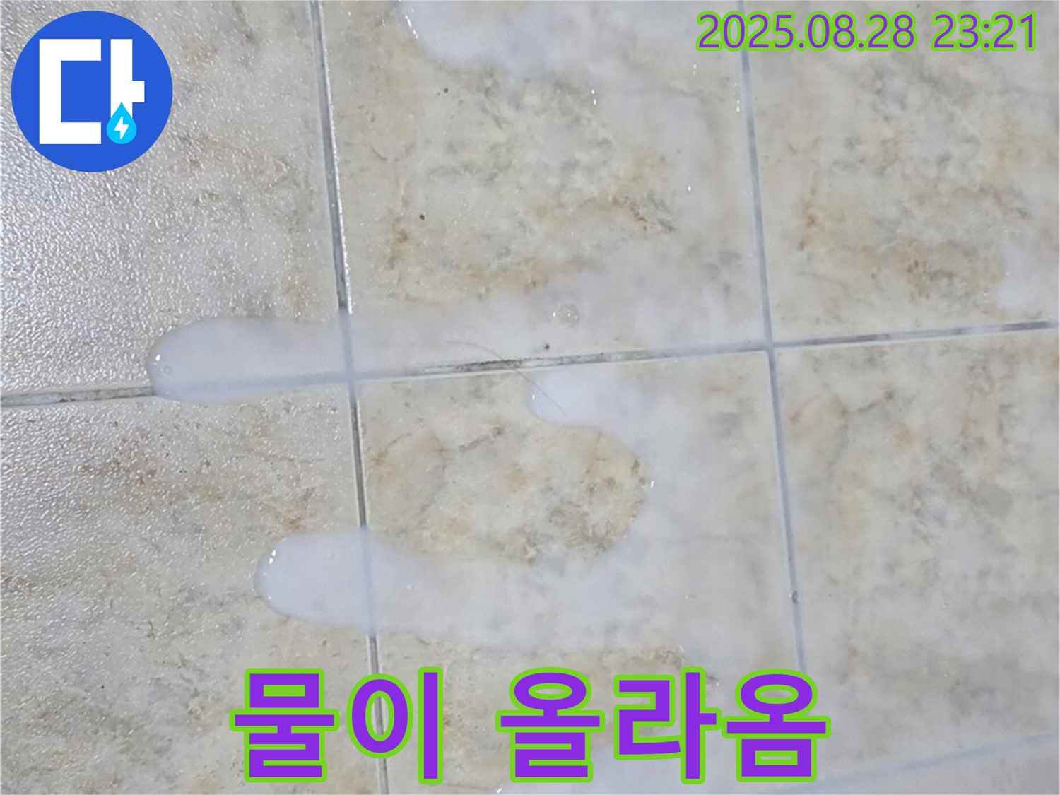 물이 올라오는 백시멘트 - 중랑구 묵동 주택 욕실에서 물이 닿으면 끈적거리고 색깔도 변하고 곰팡이도 피고 냄새까지 나고 밟을 때마다 물이 올라오는 백시멘트 - 심각한 누수 진행을 의심해야 합니다.