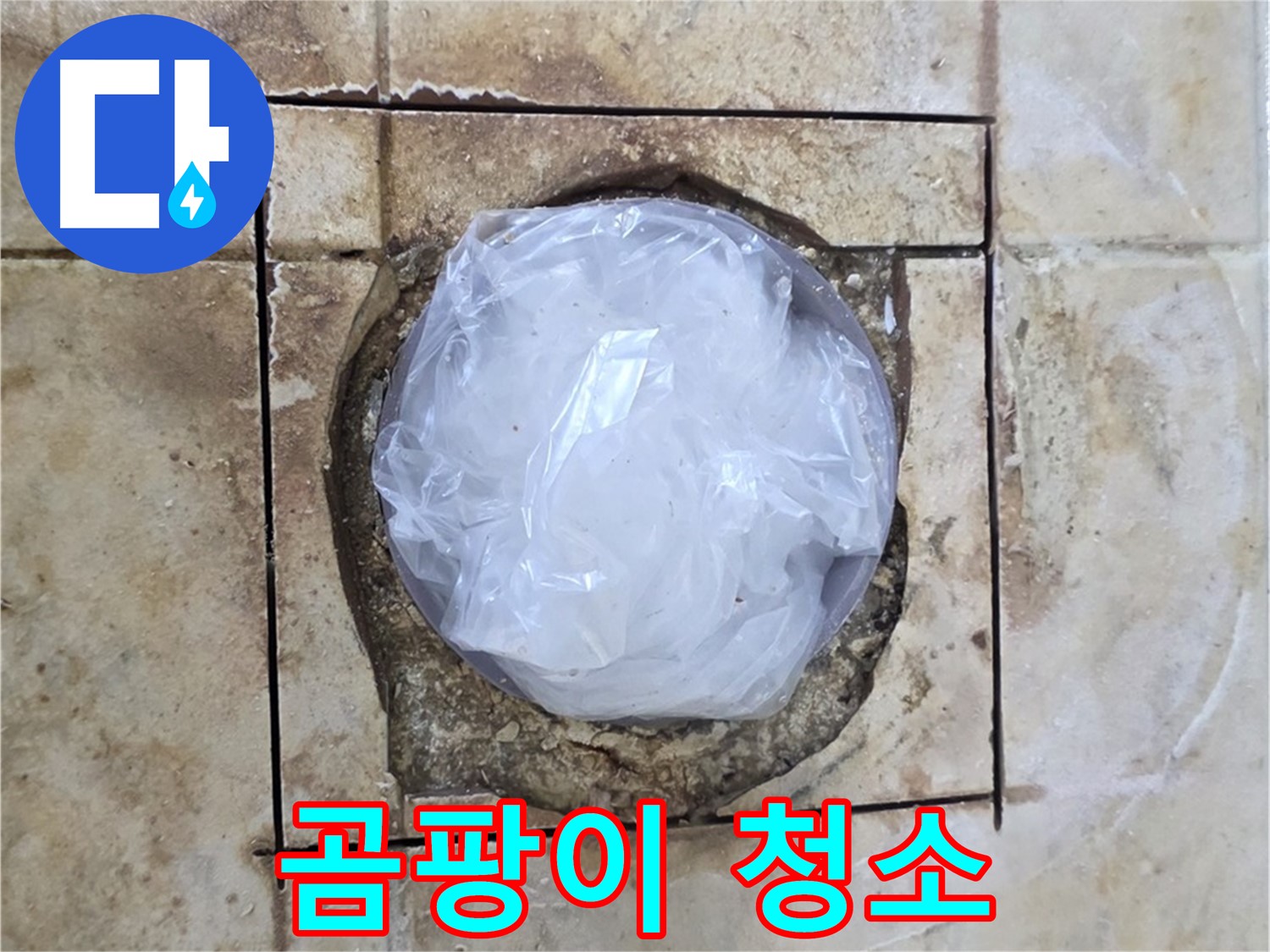 배수구 주변 곰팡이 제거 - 깨끗한 환경