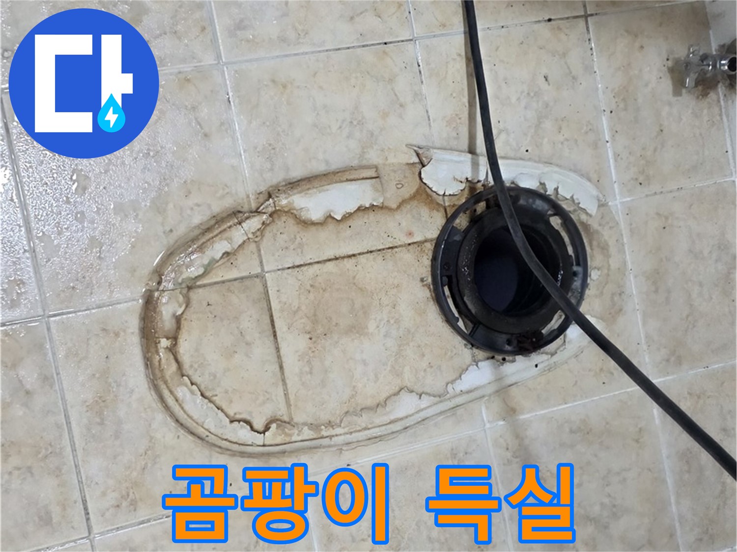 변기 누수 - 곰팡이 득실득실