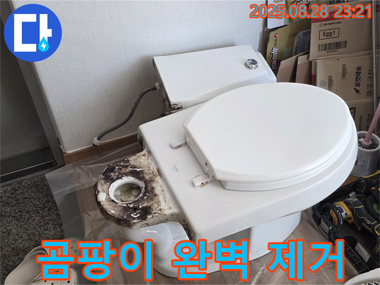 변기 누수 - 묵동 변기 주변 곰팡이 완벽 제거