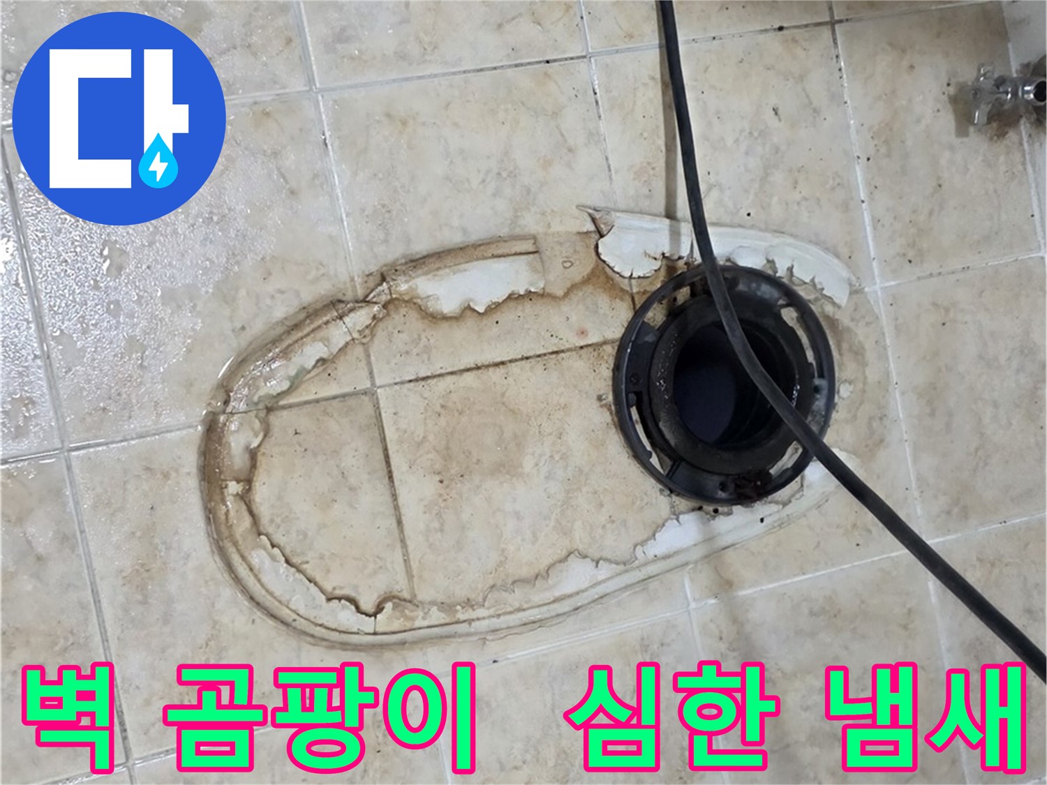 변기 누수 - 변기 뒤쪽 벽 곰팡이, 냄새까지 심해요
