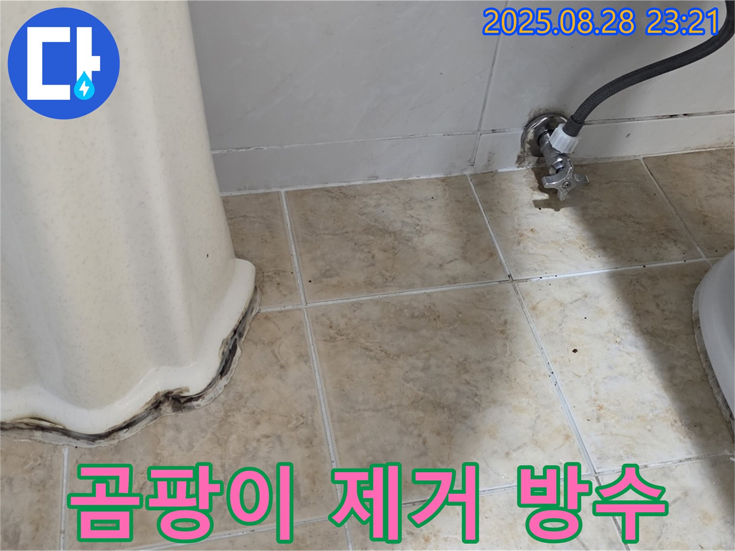 변기 옆 타일 곰팡이 - 곰팡이 제거 및 완벽 방수 시공으로 쾌적하게!