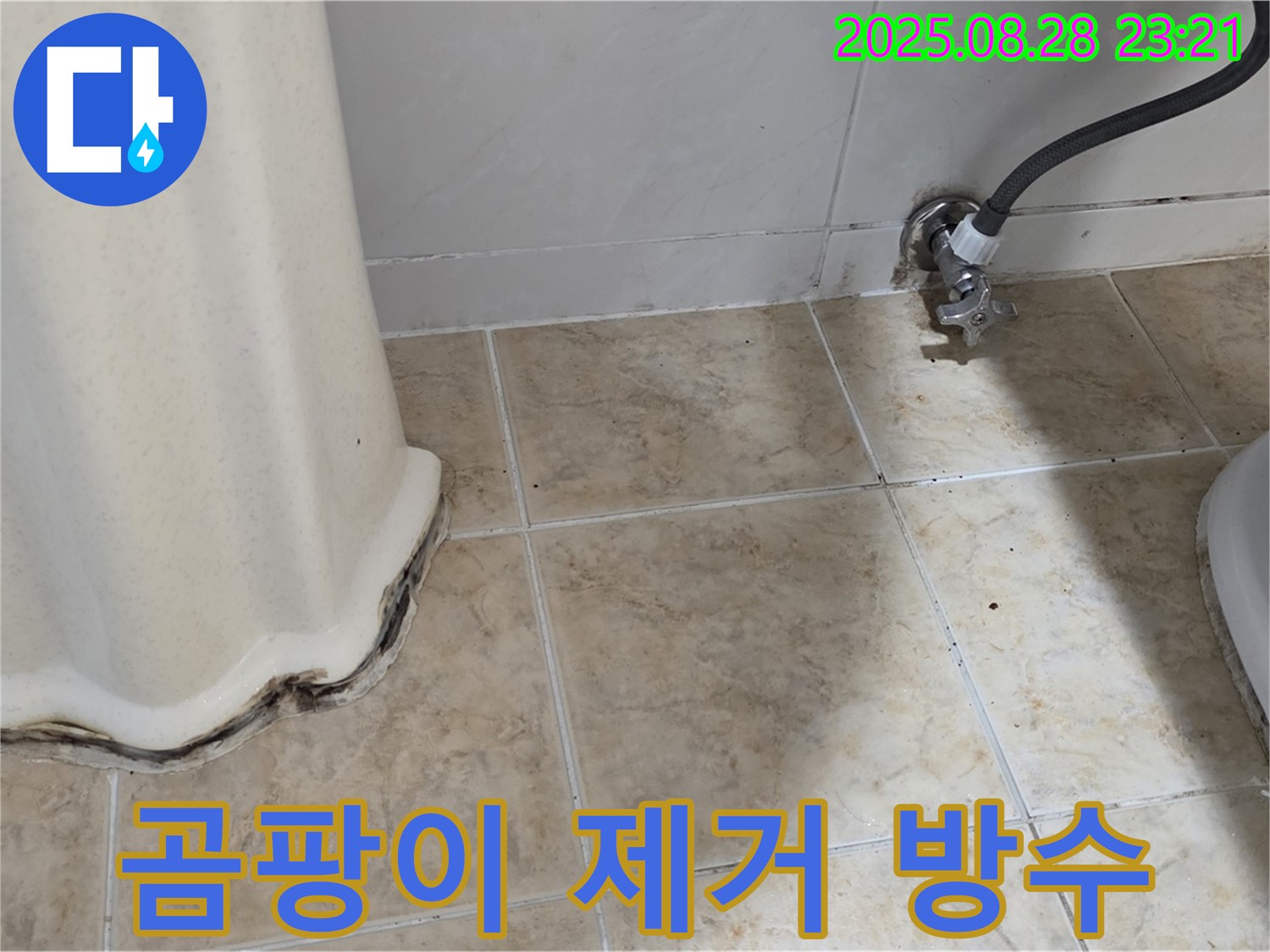 변기 옆 타일 곰팡이 - 곰팡이 제거 및 완벽 방수 시공으로 쾌적하게!