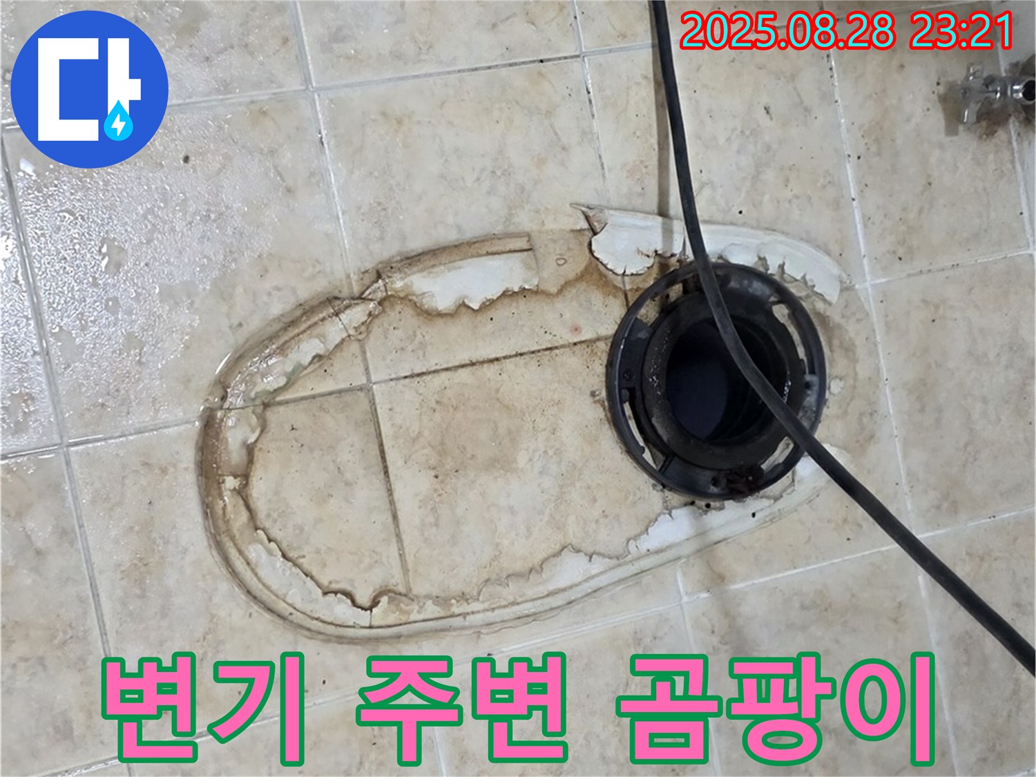 변기 주변 곰팡이 - 누수로 인한 곰팡이 발생