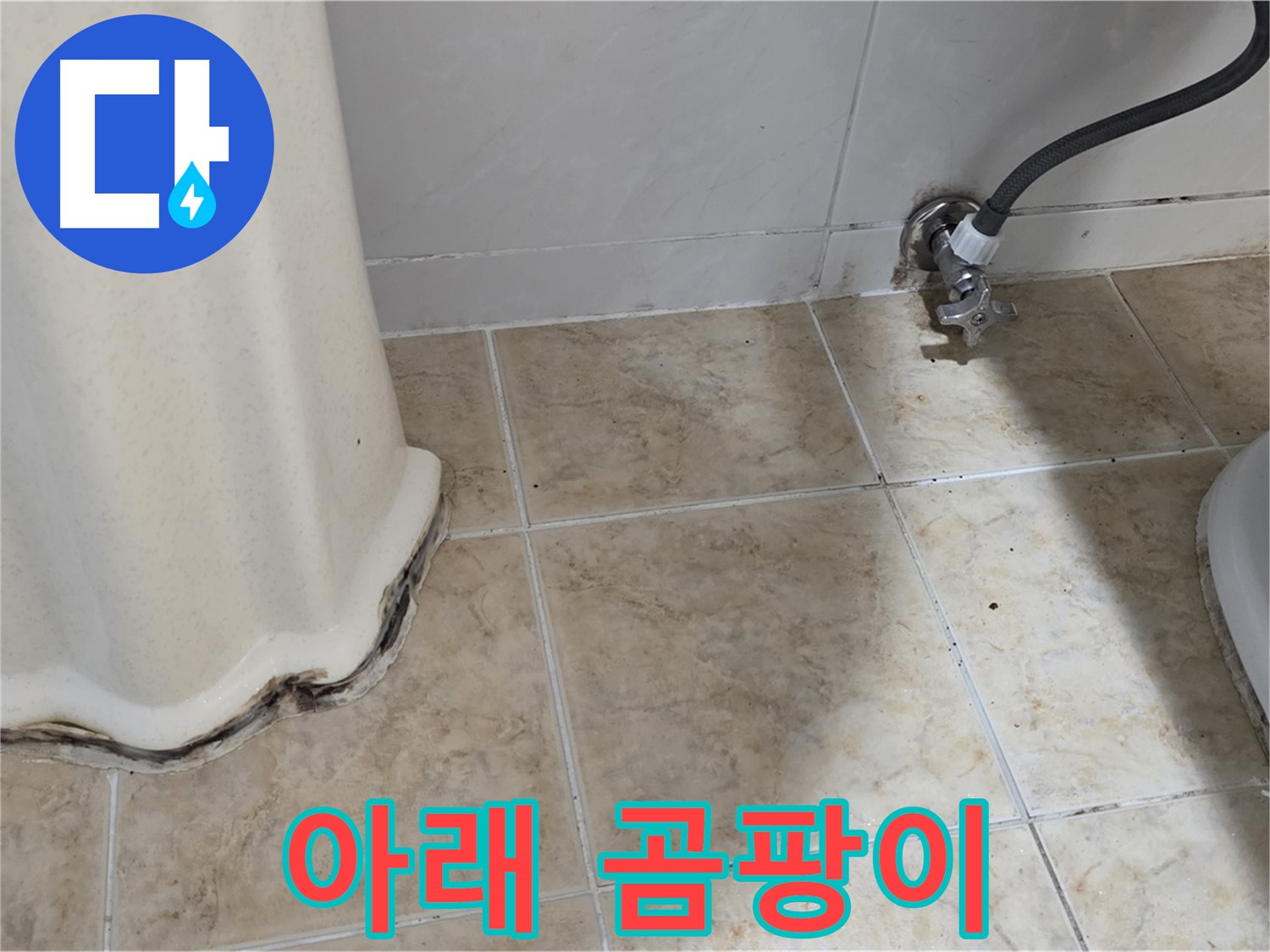세면대 아래 곰팡이 - 습기 제거가 먼저 - 습기 제거 전문가