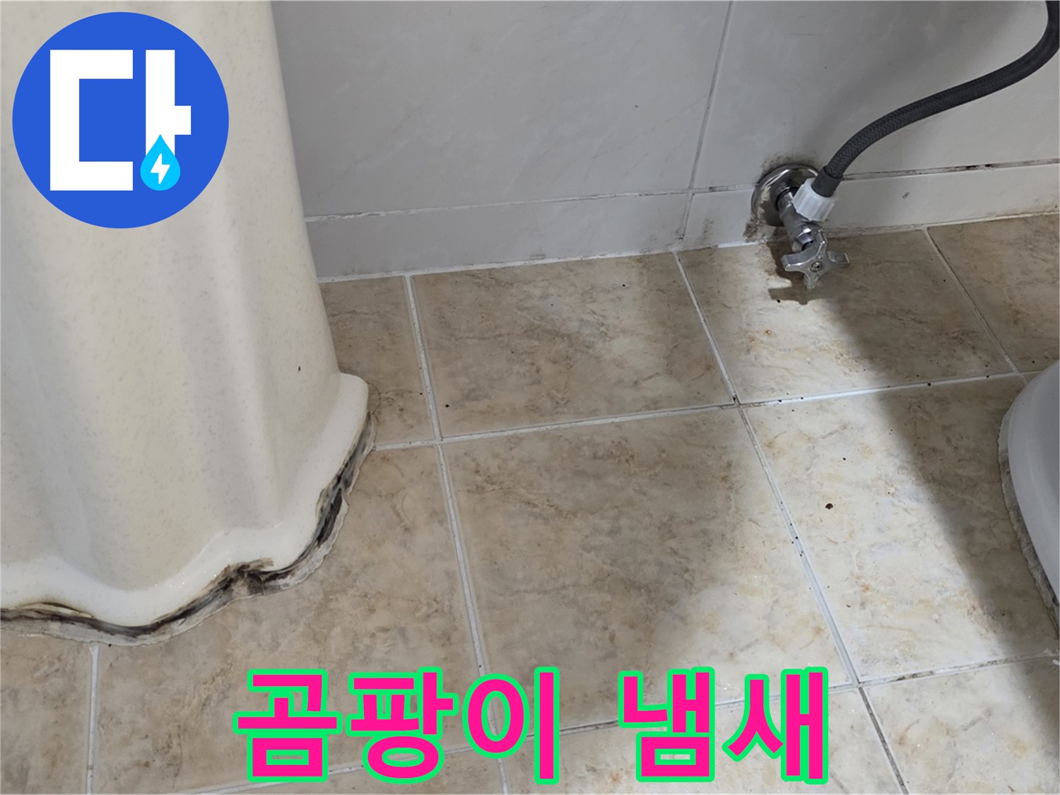 세면대 주변 곰팡이 냄새 - 쾌적한 욕실 시작 - 냄새 제거 전문가