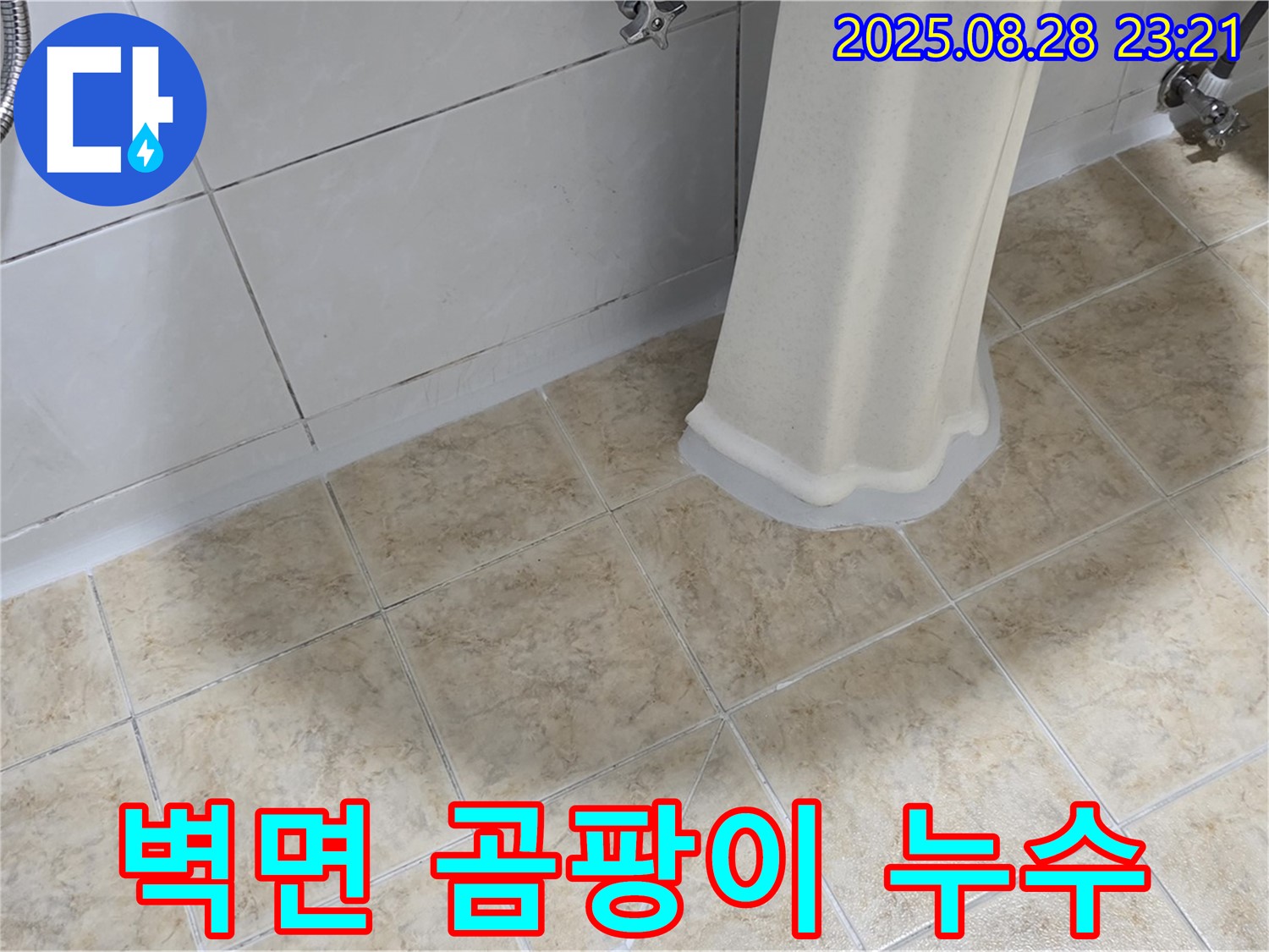 세면대 주변 벽면 곰팡이 - 누수 가능성 점검 및 곰팡이 제거