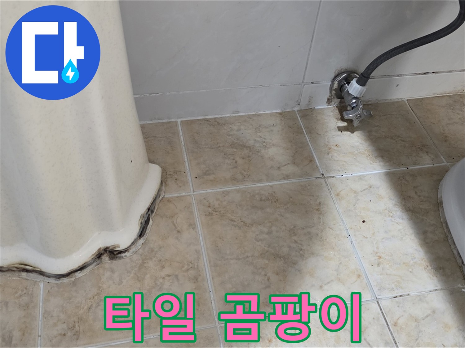 세면대 주변 타일 곰팡이 - 쾌적한 욕실을 방해해요 - 곰팡이 제거 전문가