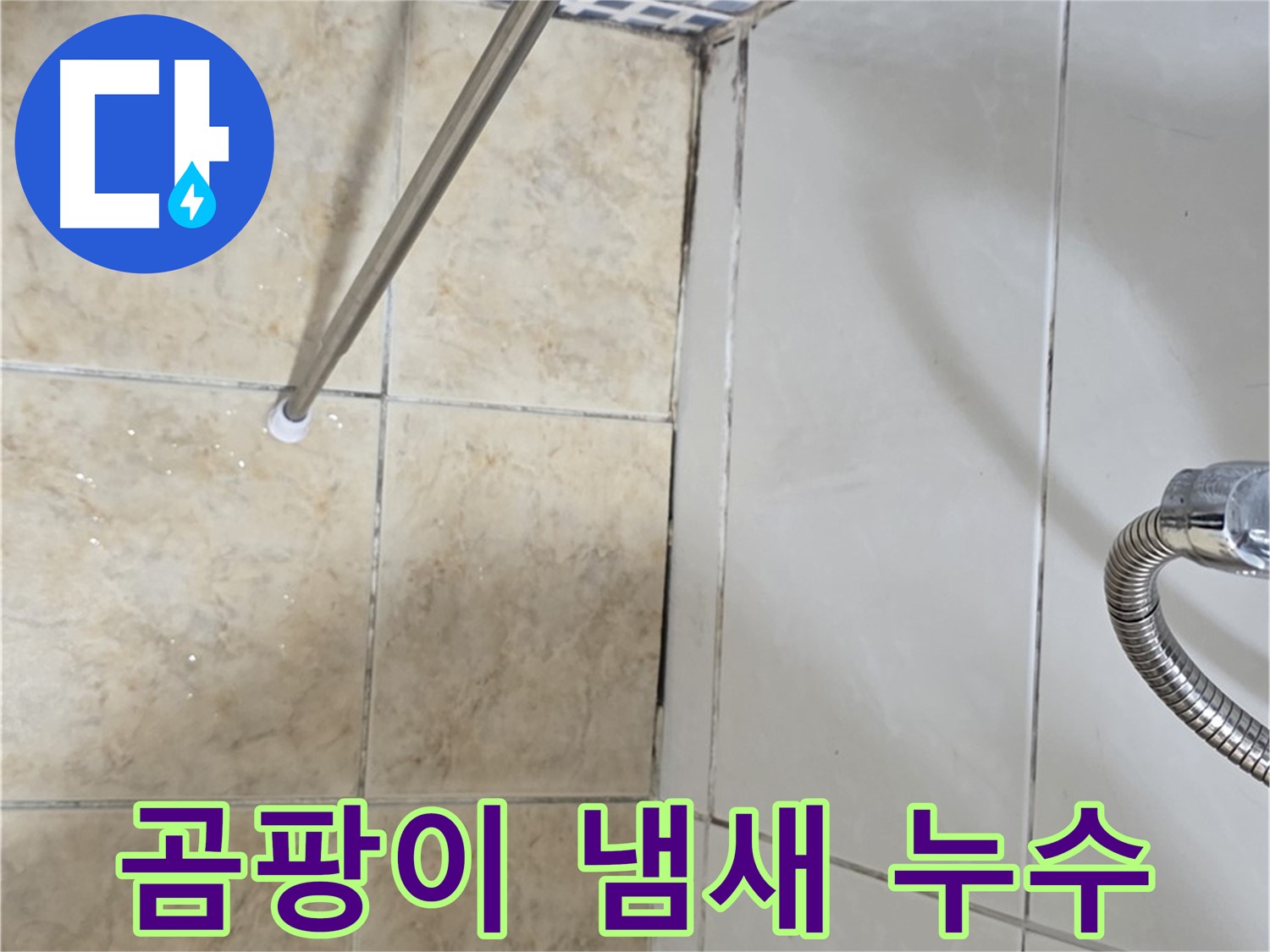 욕실 곰팡이 냄새 - 환기 안됨 - 누수 의심