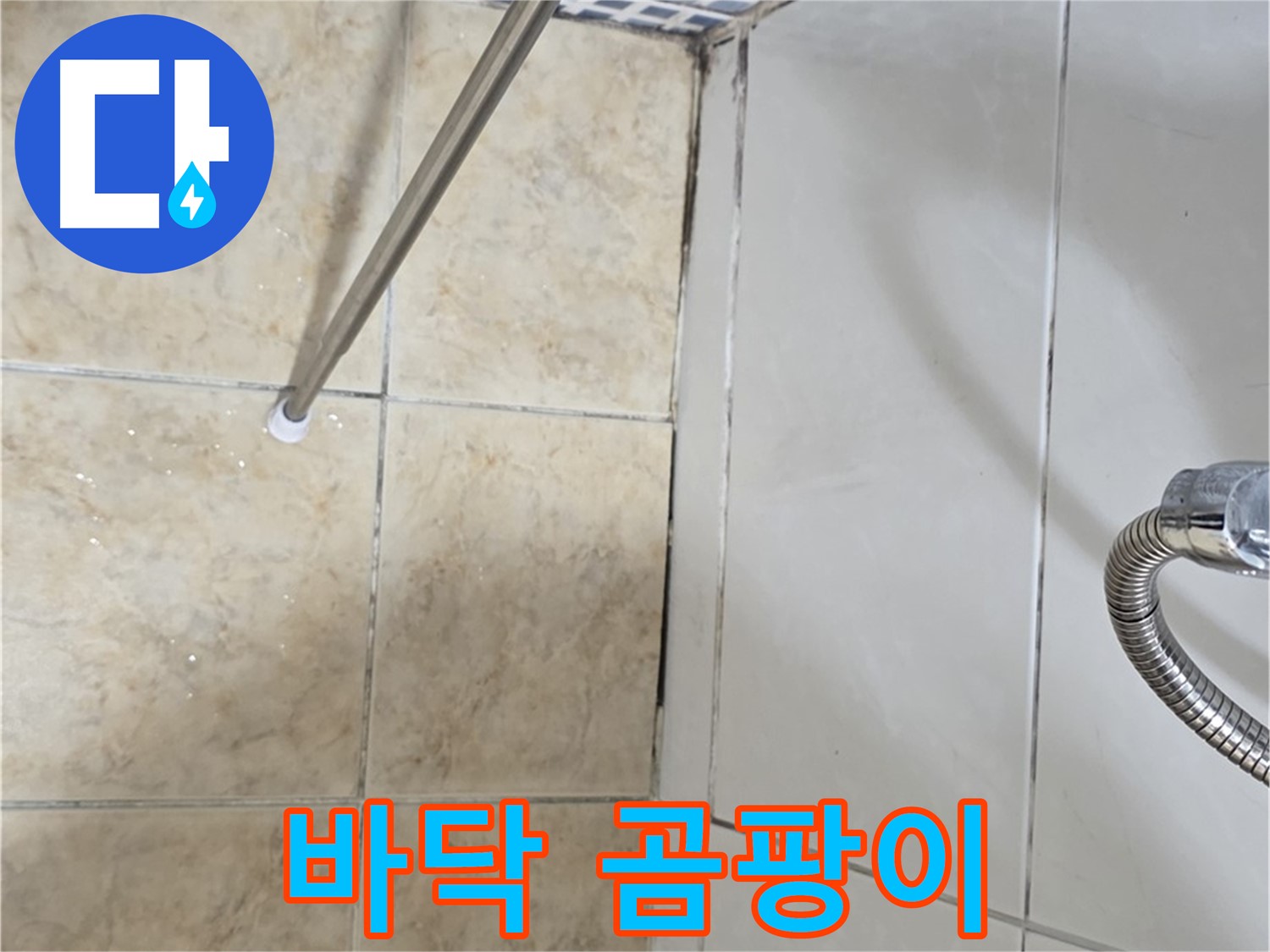 욕실 바닥 곰팡이 - 곰팡이 냄새 - 즉시 점검