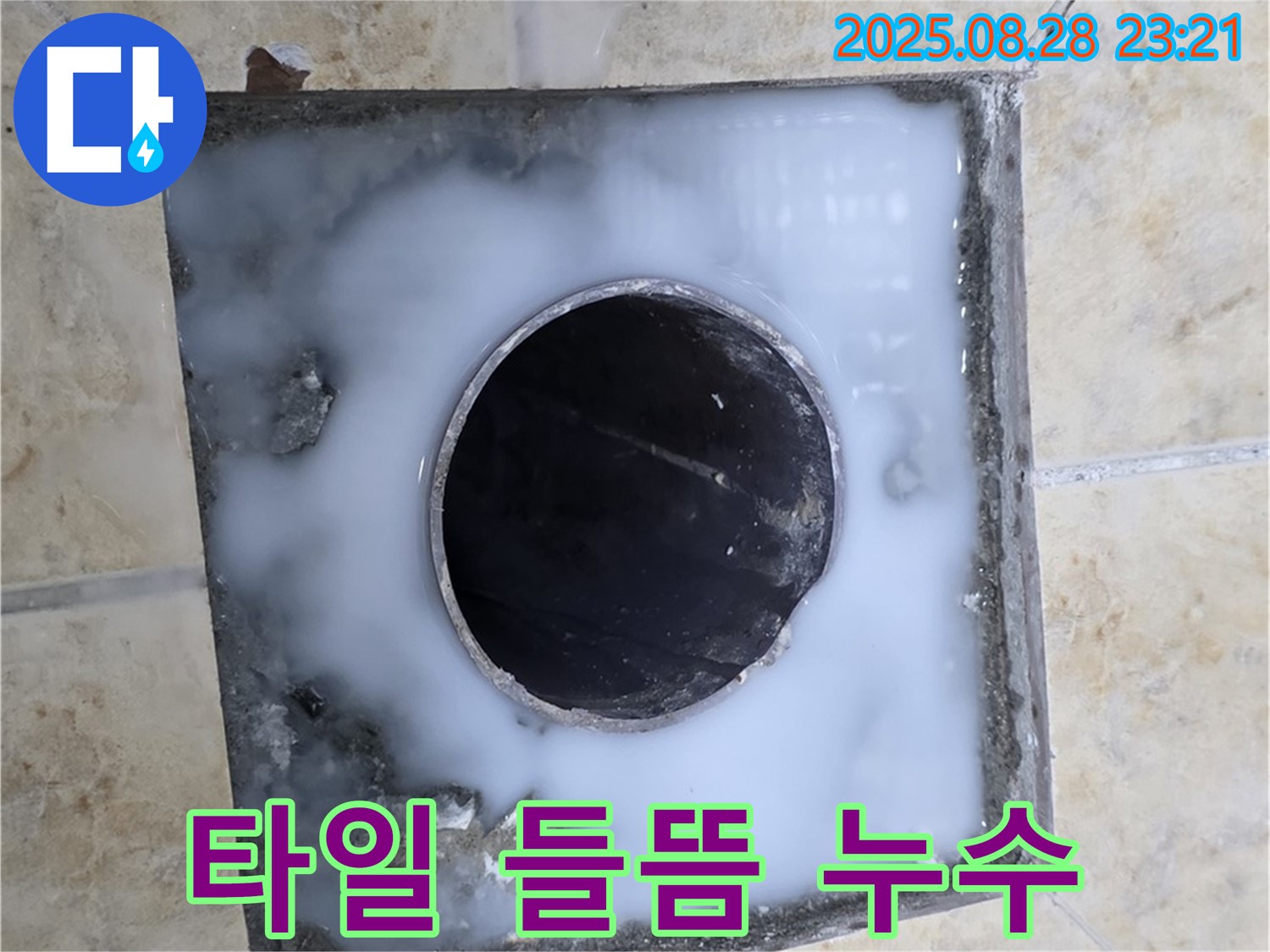 욕실 배수구 주변 타일 들뜸과 누수 - 타일이 들뜨면서 틈새로 물이 침투하여 누수가 발생한 모습입니다. 타일 재시공과 방수 작업이 필요합니다.