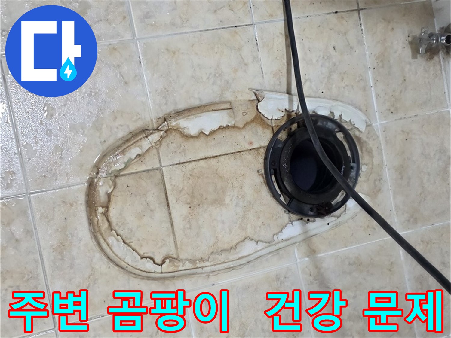 변기 누수 - 변기 주변 곰팡이, 건강에도 안 좋아요