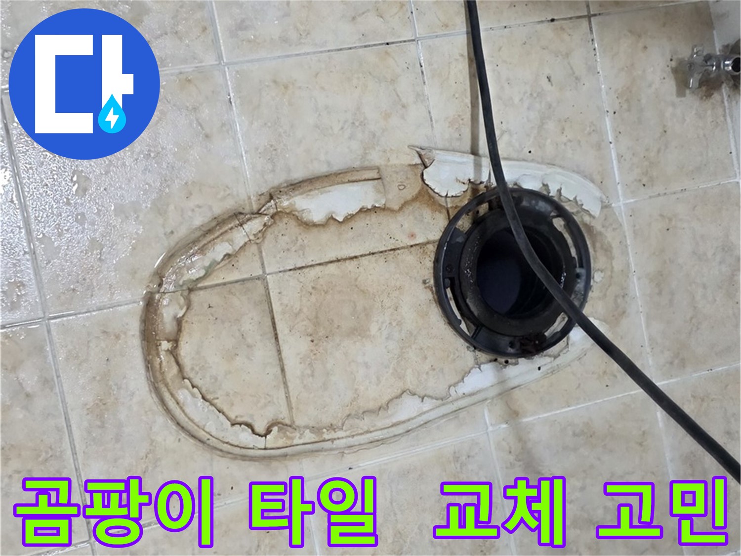 변기 누수 - 곰팡이 핀 바닥 타일, 교체해야 할까요?