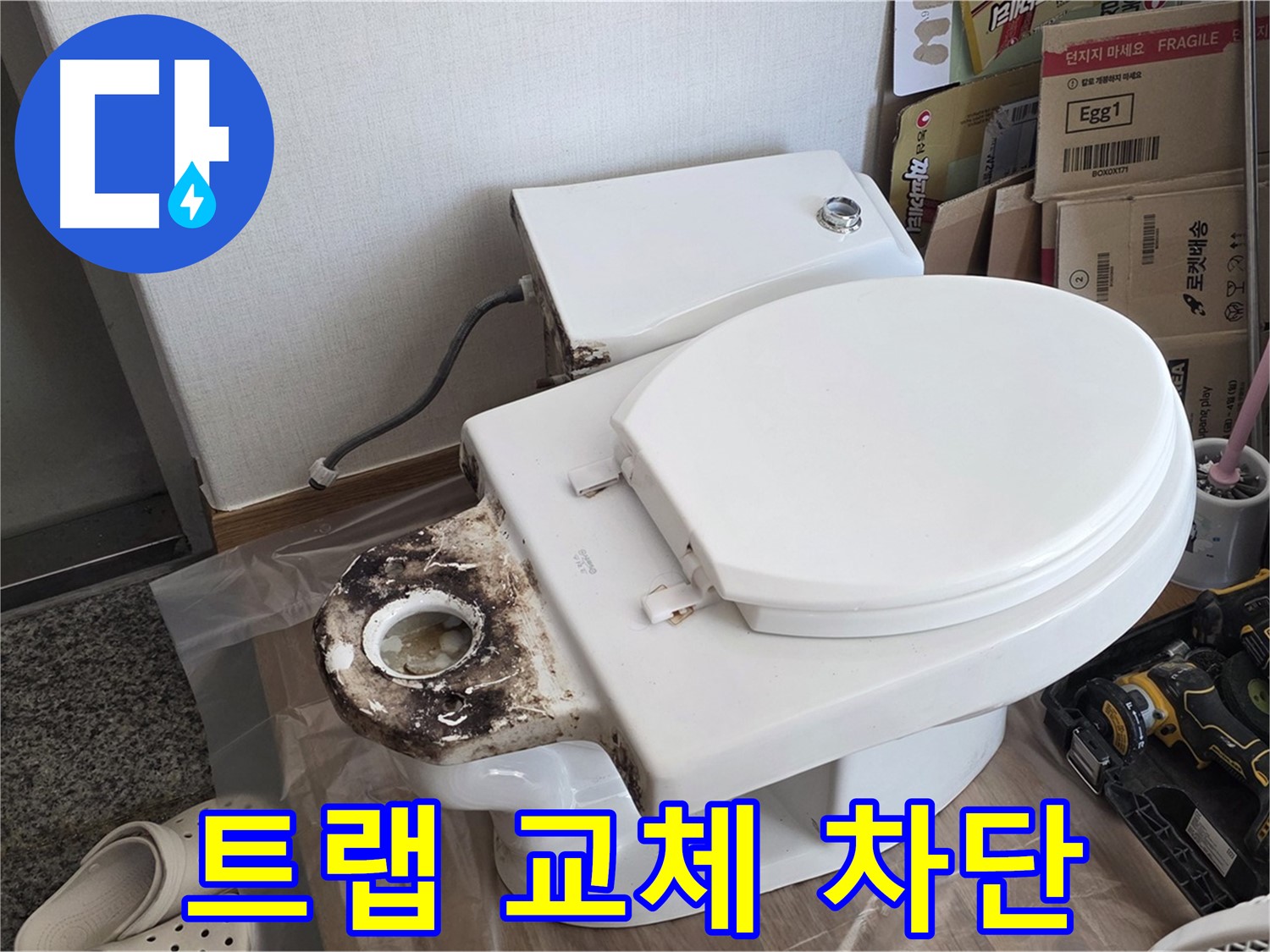 중랑구 묵동 변기 오물 트랩 교체 - 꼼꼼한 시공으로 냄새와 벌레를 완벽하게 차단합니다!