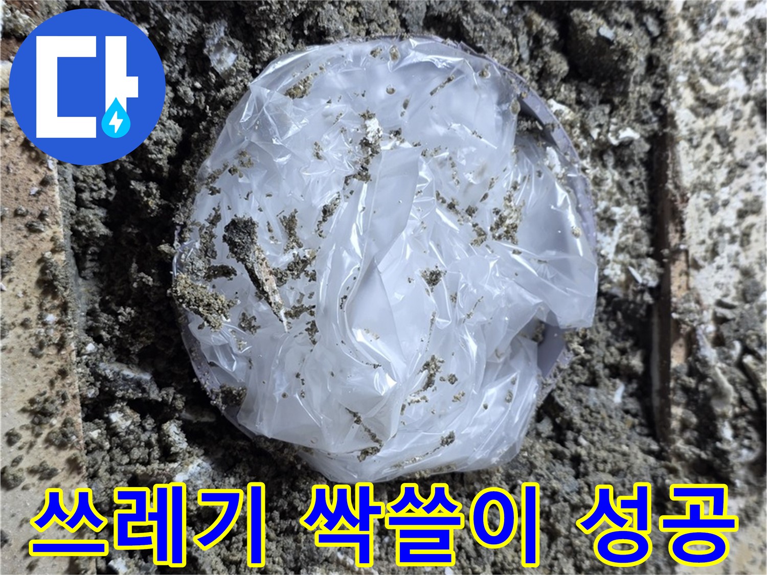 중랑구 묵동 쓰레기 싹쓸이 - 작전 성공!
