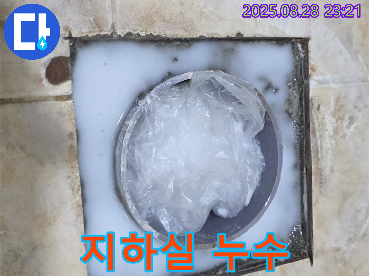 지하실 누수 - 습기와 곰팡이 문제 해결