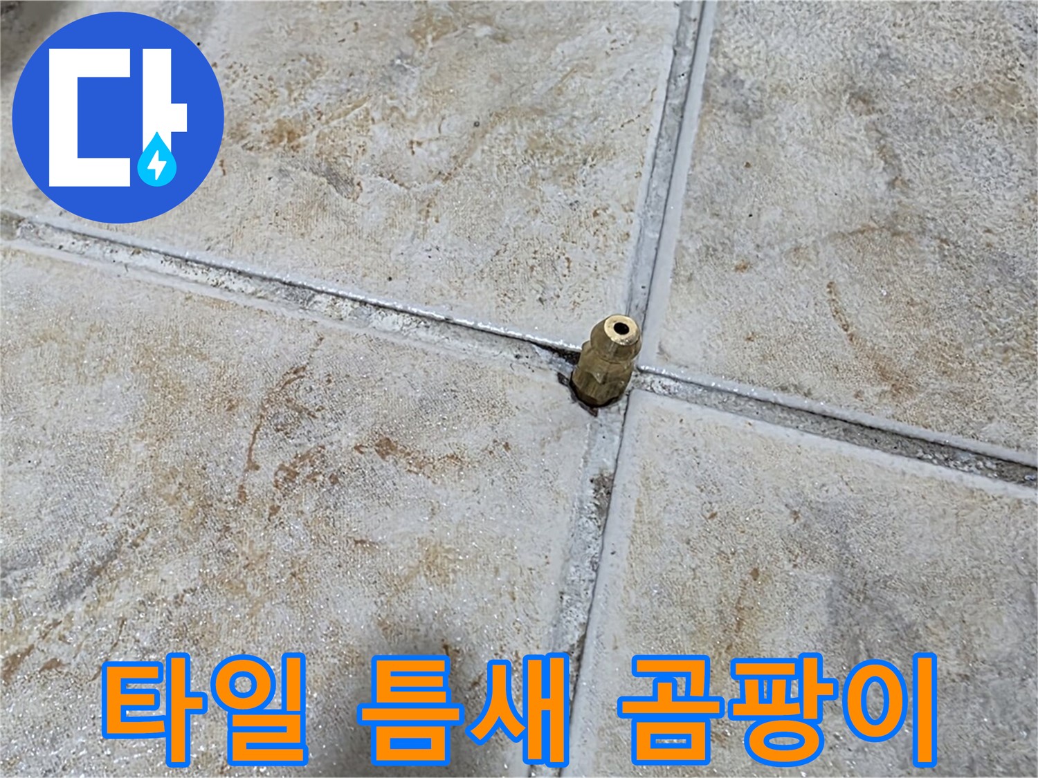 타일 틈새 곰팡이 - 꼼꼼한 곰팡이 제거와 완벽 방수