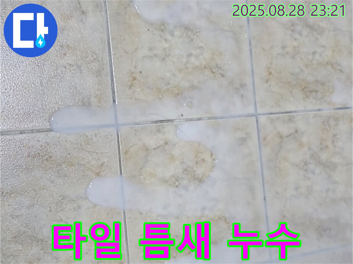 타일 틈새 누수 - 묵동에서 발생한 타일 틈새 누수 문제를 해결하는 과정을 보여줍니다.