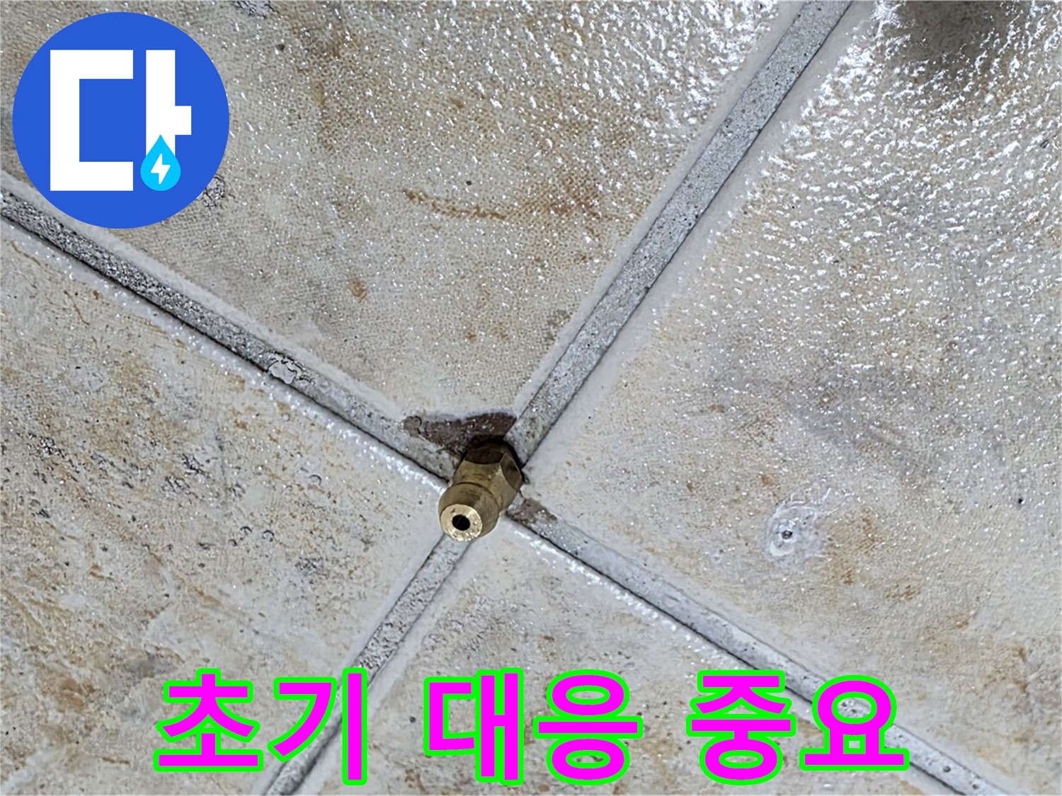 타일 틈새 누수 - 초기 대응이 중요해요