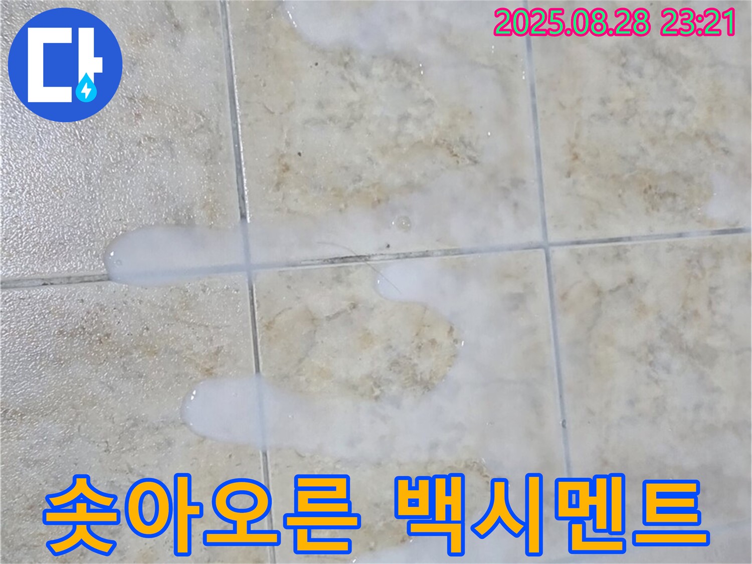 타일 틈새 백시멘트 - 솟아오름 - 묵동 주택 욕실에서 발견된 솟아오른 백시멘트 - 누수 위험 신호입니다.