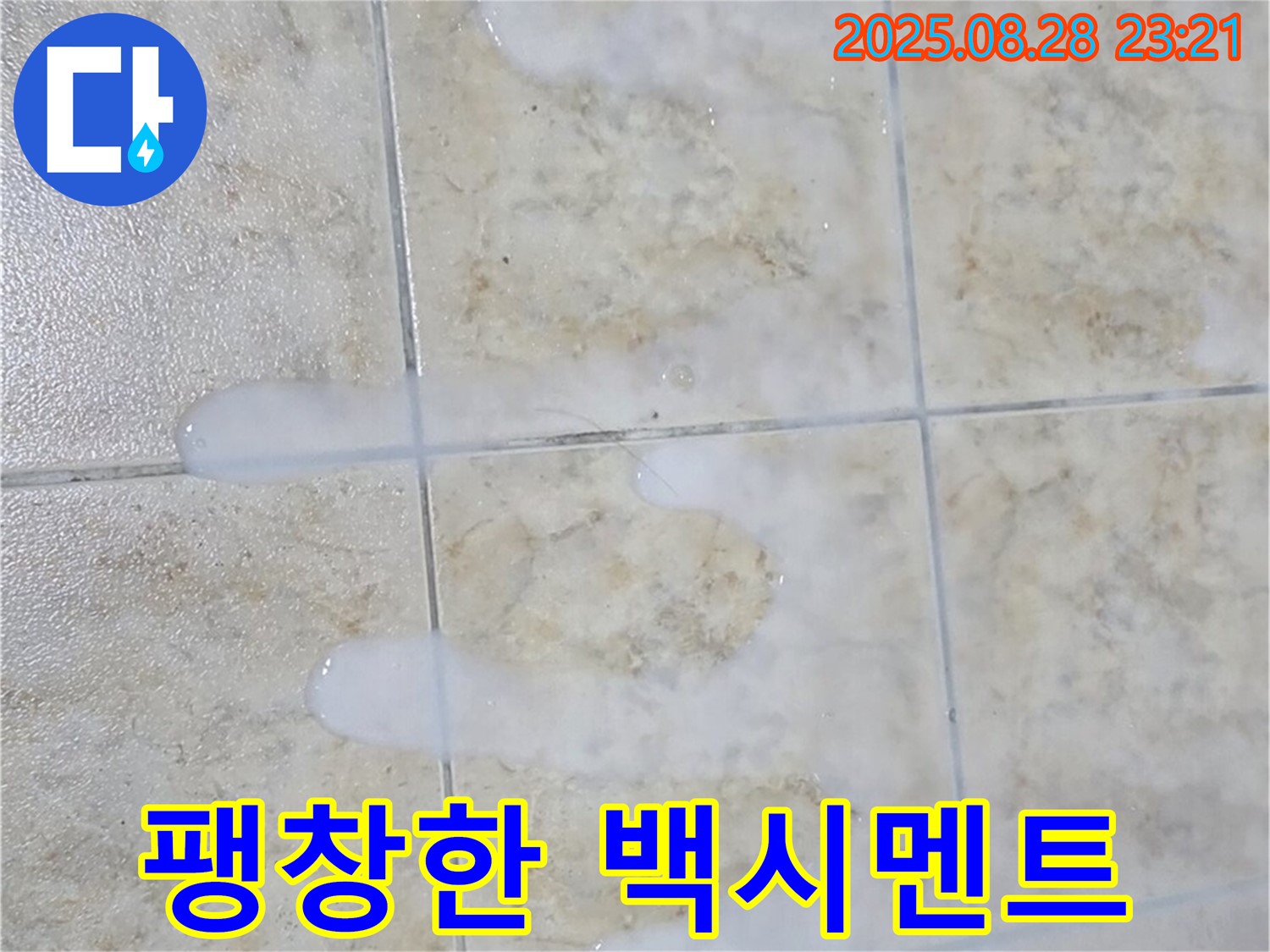 타일 틈새 백시멘트 - 팽창 - 중랑구 묵동 아파트 욕실에서 발견된 팽창한 백시멘트 - 누수의 원인일 수 있습니다.