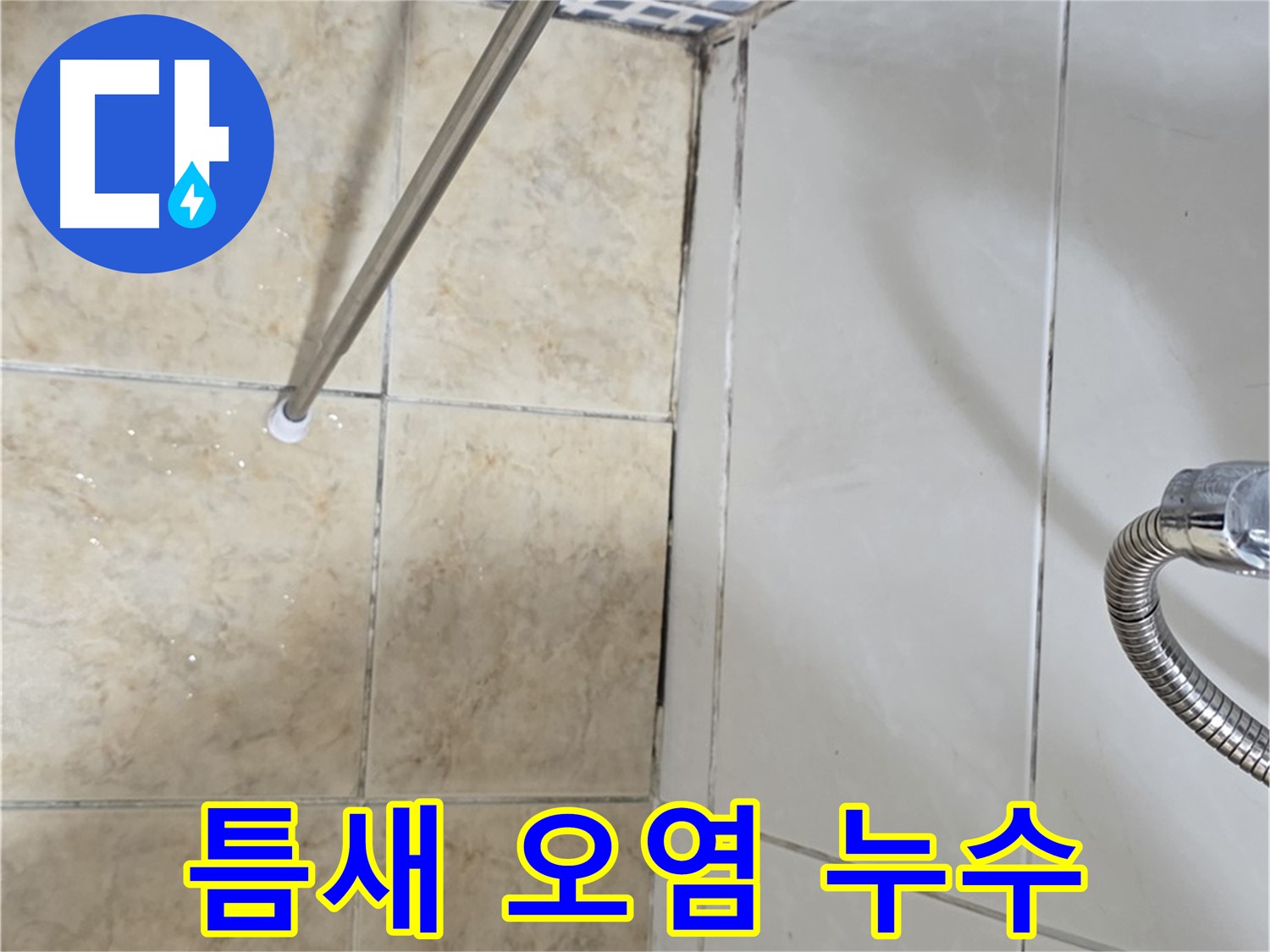 타일 틈새 오염 - 곰팡이 - 누수 의심 - 꼼꼼 점검
