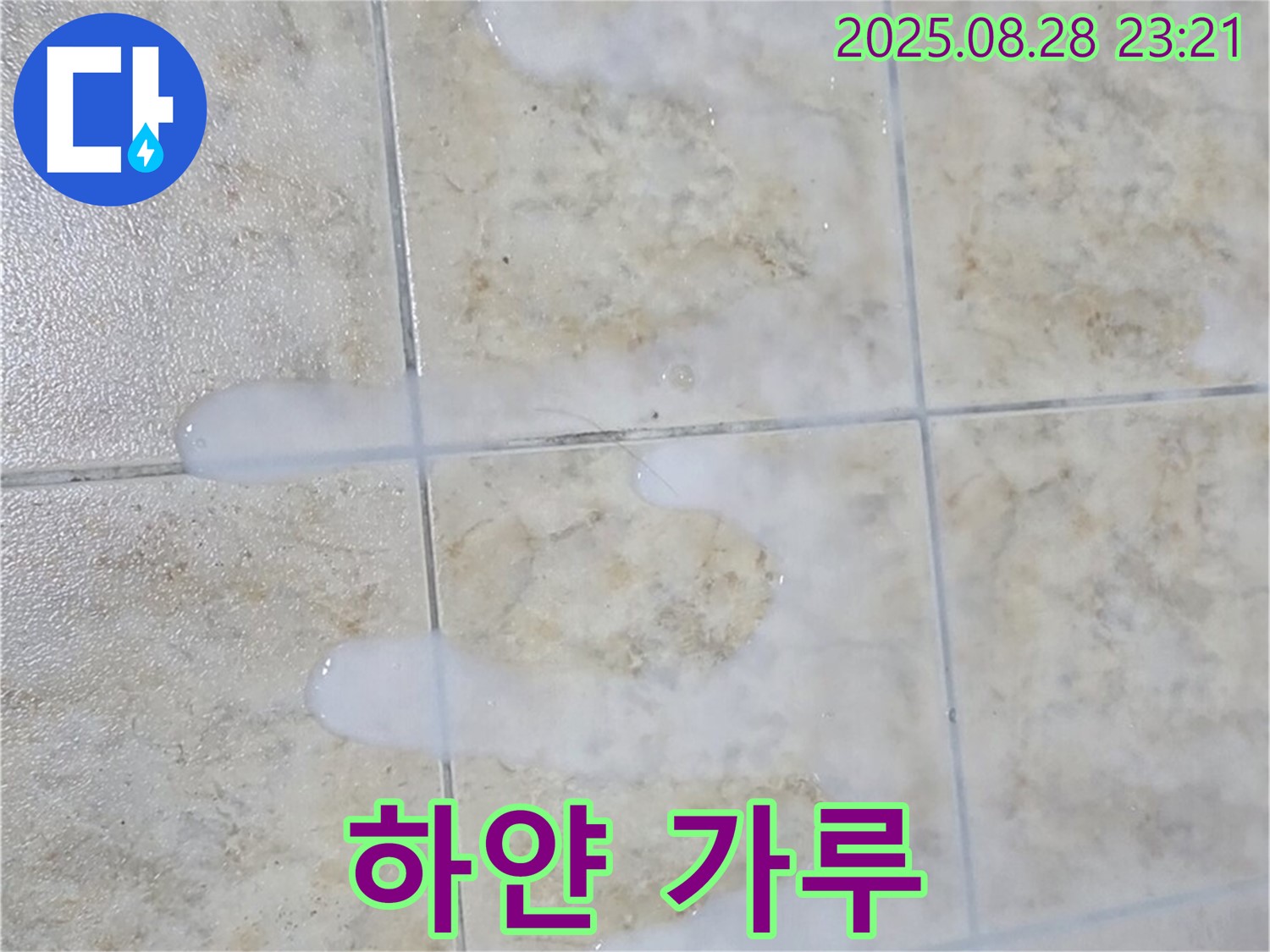 하얀 가루 나오는 백시멘트 - 묵동 주택 욕실에서 물이 닿으면 끈적거리고 색깔도 변하고 곰팡이도 피고 냄새까지 나고 닦아도 계속 하얀 가루가 나오는 백시멘트 - 노후화로 인한 손상을 의심해봐야 합니다.